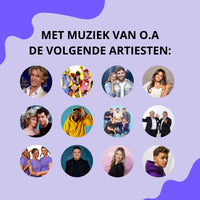 zomerse muziekbingo artiesten
