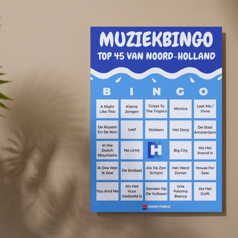 Muziekbingo Noord-Holland